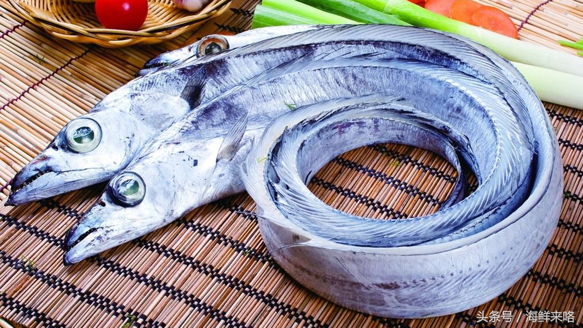 哪种海鱼吃着最简单,哪种海鱼喜欢吃肉