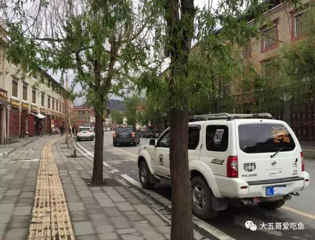 帕拉丁适合年轻人的硬派越野,硬派越野帕拉丁