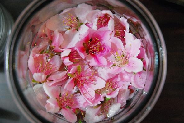 自己学酿纯粮食酒,自己学调酒好学吗