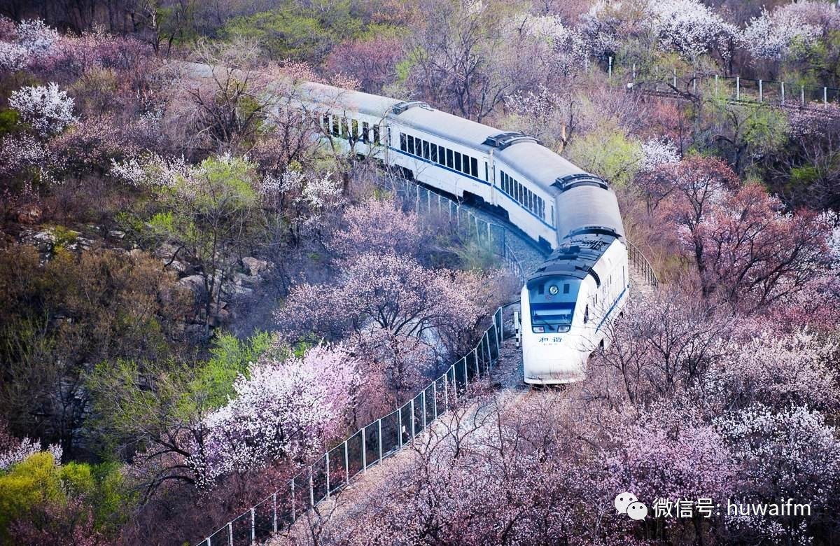 教你五分钟清洗羽绒服保持干净,冬天清洗羽绒服太难了我来教你