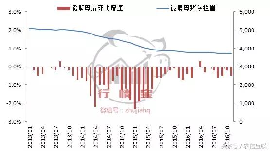 市场目前猪价,进口猪肉受限猪价会涨吗