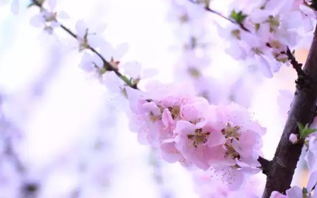 被痘痘困扰好几年的朋友福音,有痘痘烦恼的朋友们看过来