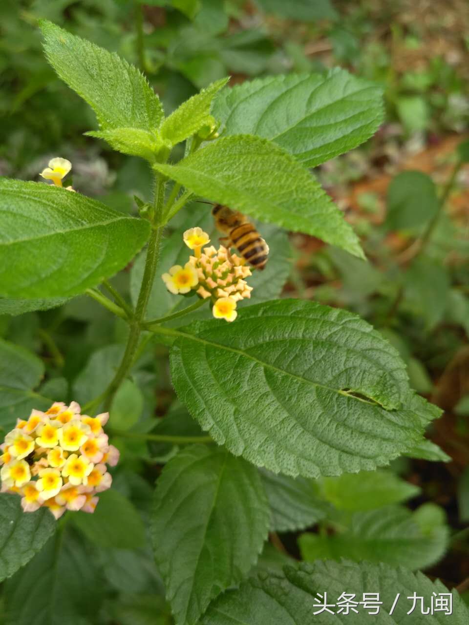 利用微信如何进行营销推广,如何利用微信营销推广自己