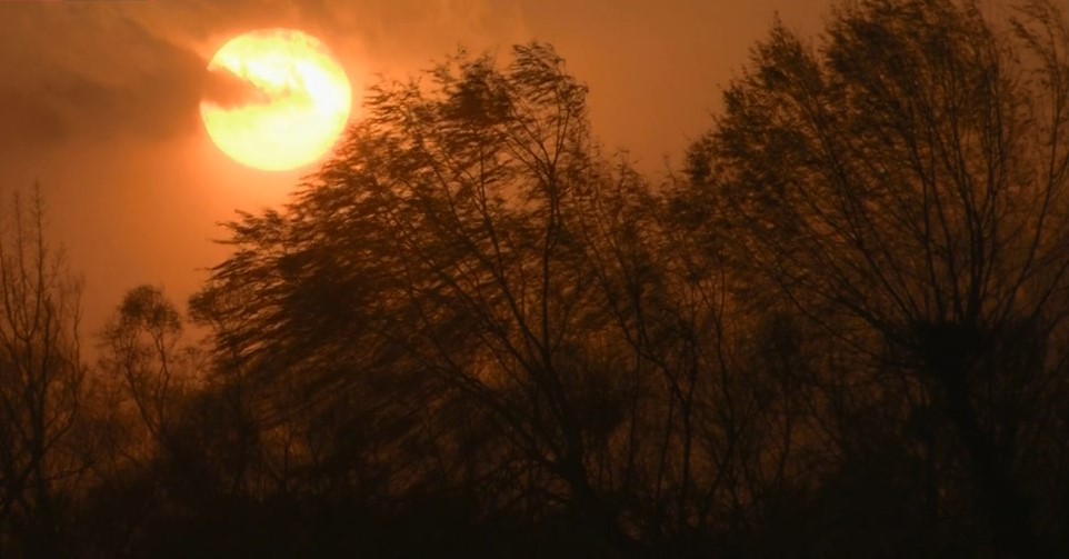 追不到的玄奘灵魂：下一步路何去何从