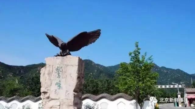 北京植物园踏青赏花,踏青赏花北京