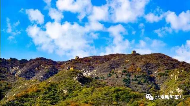 北京植物园踏青赏花,踏青赏花北京