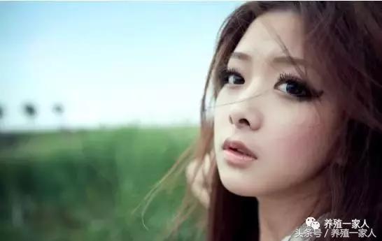 养羊的10大忠告完整,养羊的十大心酸