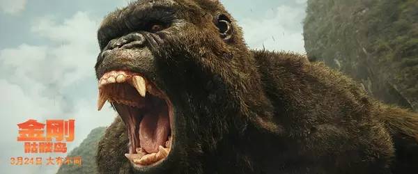 总看电影好不好,十大烂片每一部都各有特色