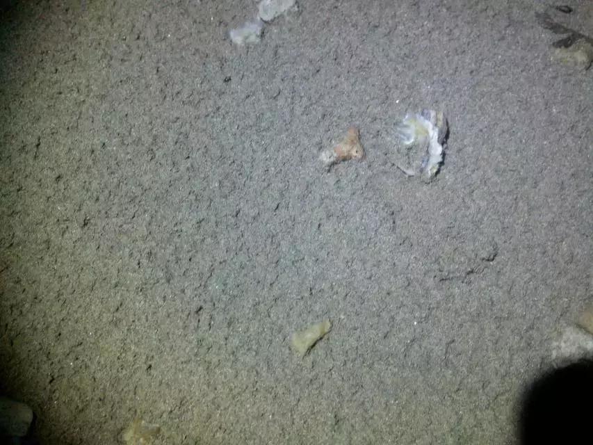 海南环岛自由行攻略最详细,海南环岛骑车多少公里