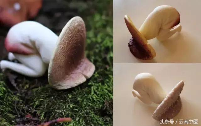 姨妈痛时，你是哪种姿势？马上喝下这道补气养血的四物汤吧