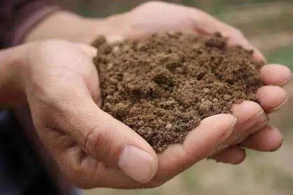 独立游戏的现状,做独立游戏真的死路一条吗