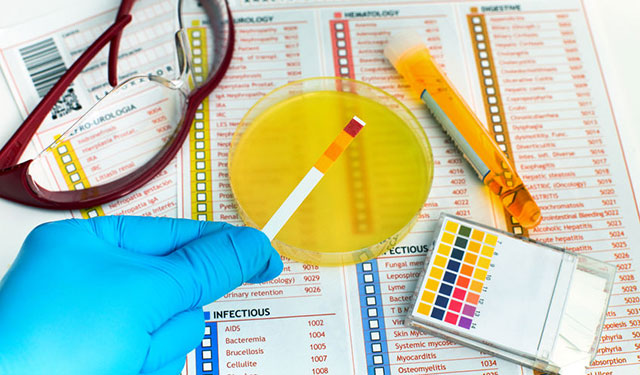 多吃碱性食物就能变成碱性体质吗,有碱性的食物吃了会发胖吗