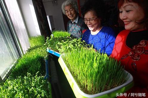 农村5万元创业项目推荐,农村适合穷人的18个创业项目