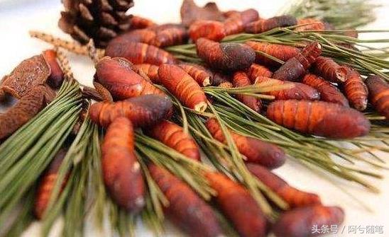 农村5万元创业项目推荐,农村适合穷人的18个创业项目