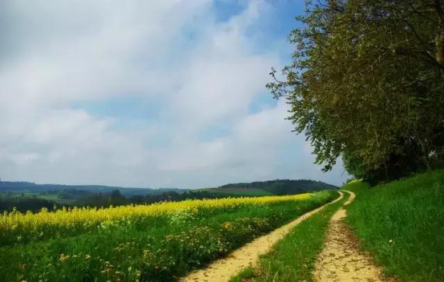 融安玻璃栈道怎么去,柳州融安玻璃栈道门票价格