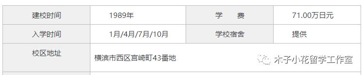 横滨国际学园官网,横滨国际教育