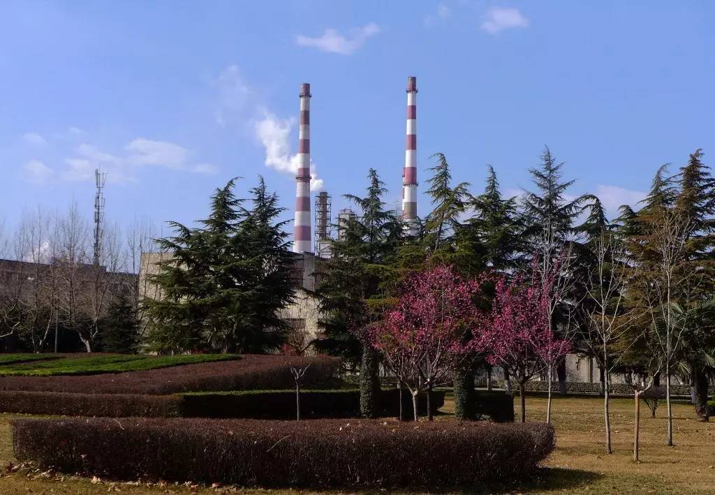 印象渭南:情寄雪梅