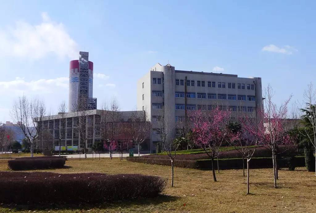 印象渭南:情寄雪梅