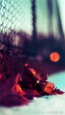 iphone超有质感的壁纸,关于黑色的高级感iphone壁纸