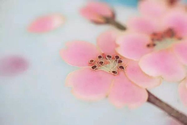 一碗豆腐脑两千多公里彩蝶与星空,她的手作关键词不止这些!