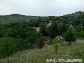 苏家山秦剧团，甘谷乡村文化的先行者！