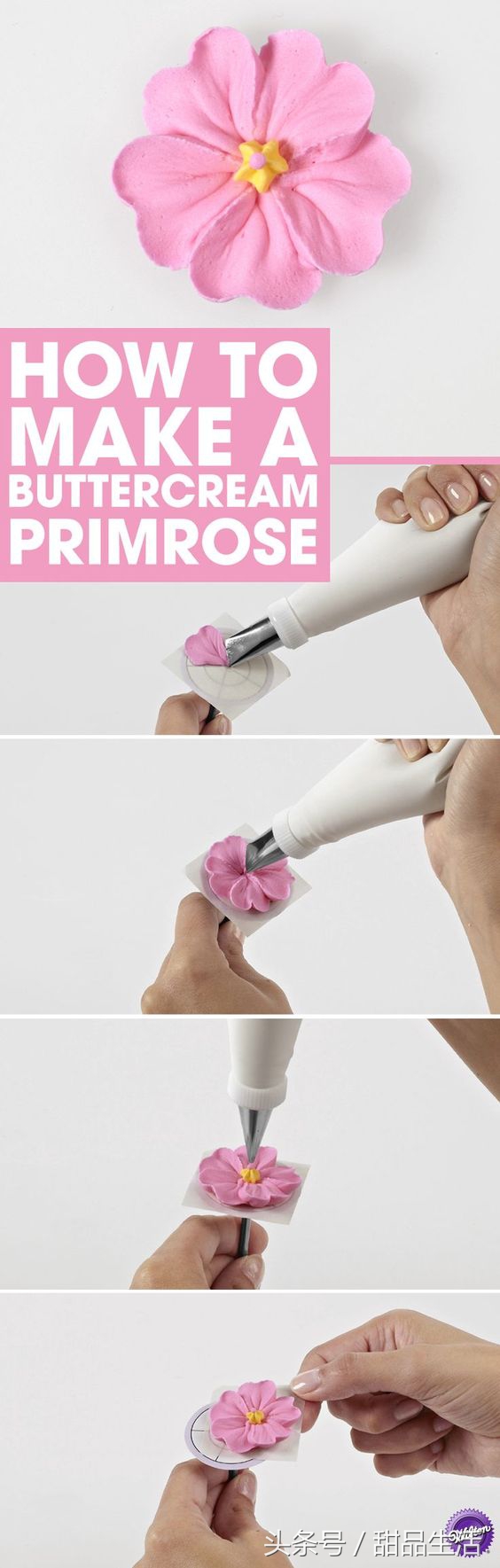 新手常用的裱花嘴,一次性裱花袋怎么剪花型裱花嘴