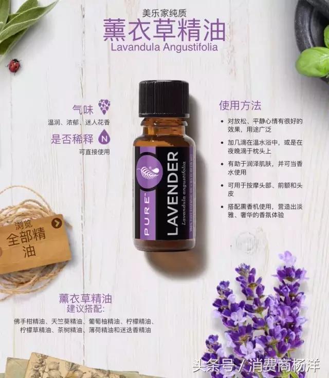 十二款精油的介绍
