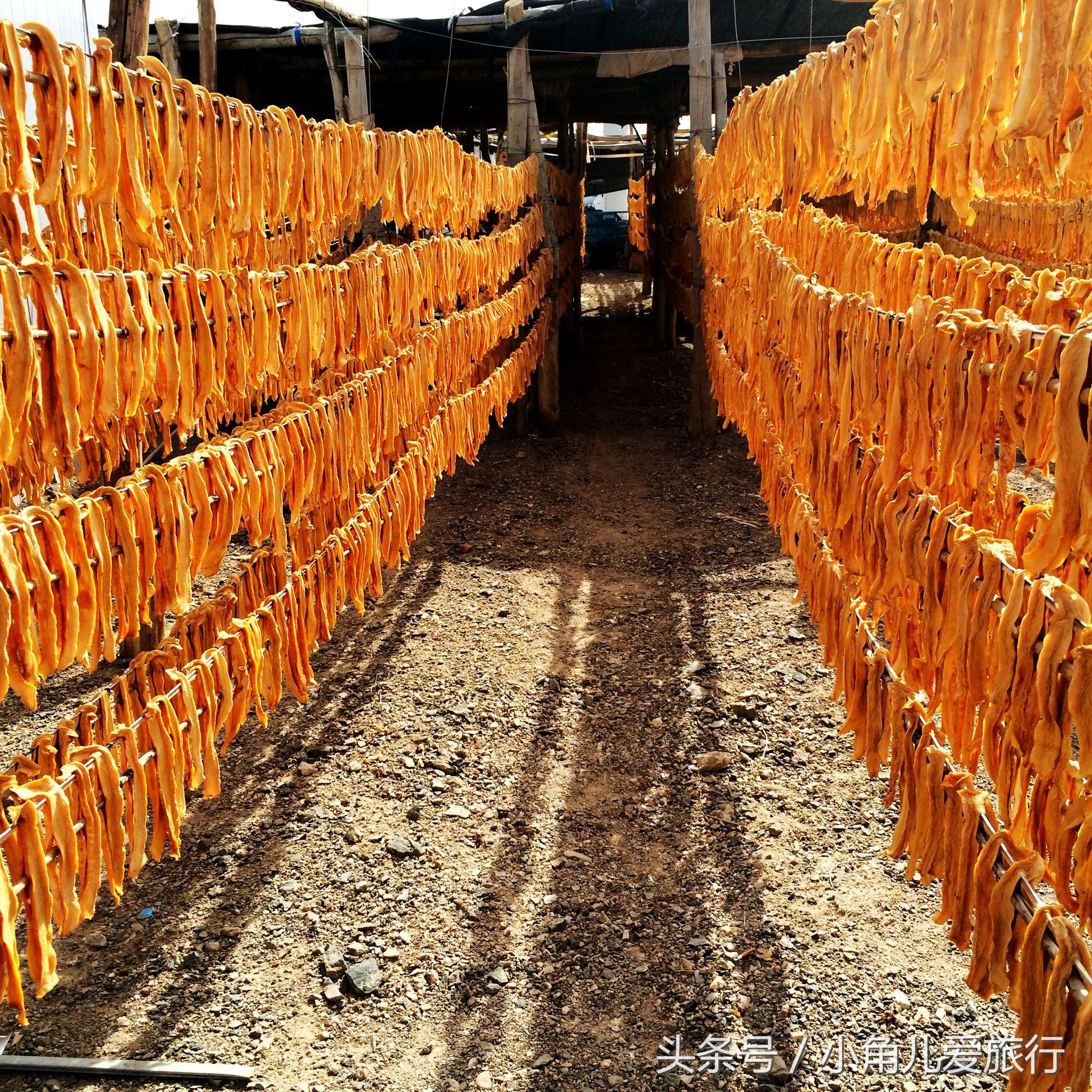 2015，七月的行迹——自驾青甘宁（九）甘肃，敦煌