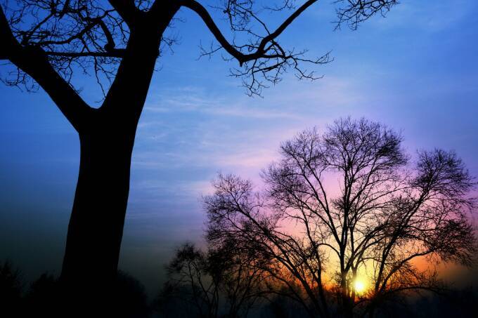 茶马古道丽水金沙,盐茶古道日照