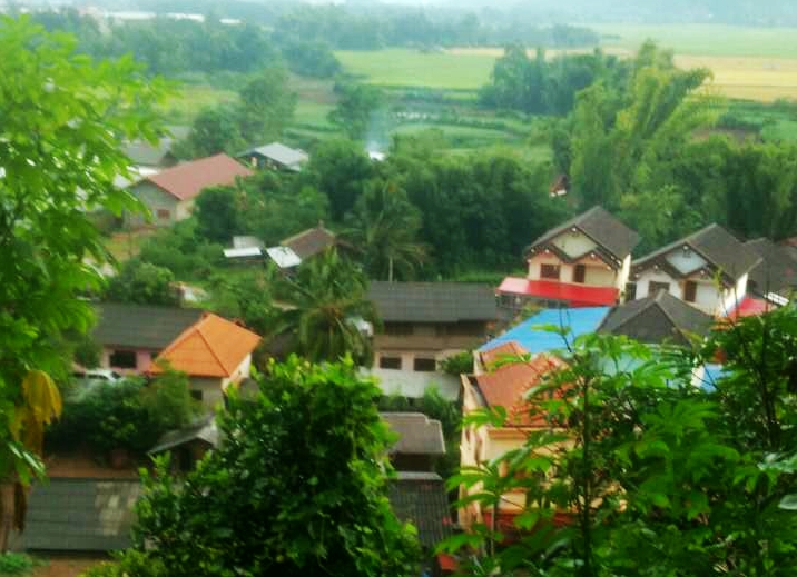 老挝街边的野生蜂蜜,老挝原始森林中纯天然野生蜂蜜