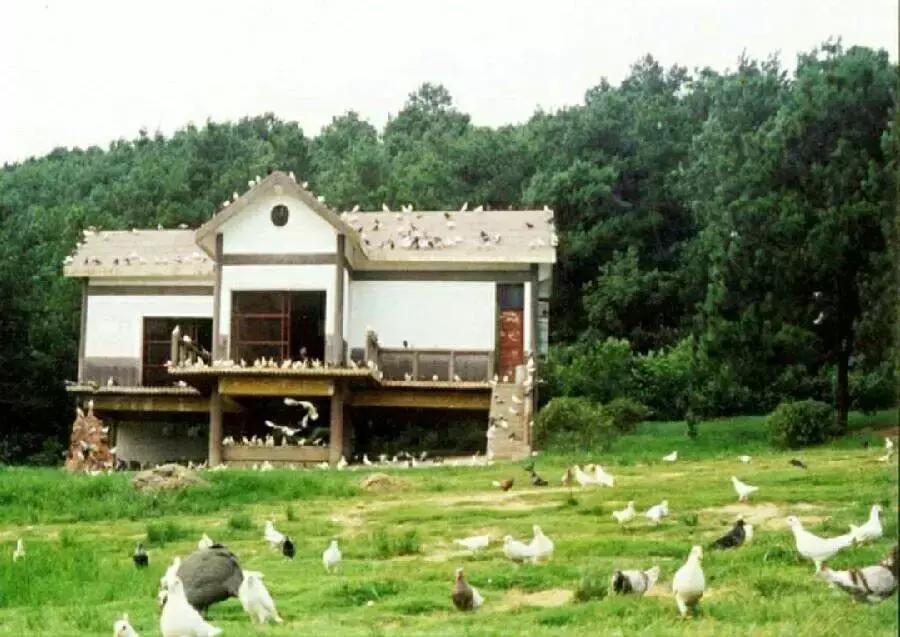 武汉野炊地点推荐,武汉周边烧烤野炊好去处