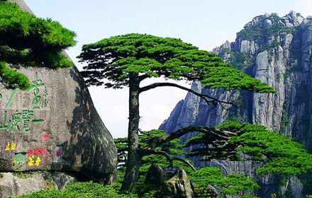 讲真，送你一场5*级A**的免费旅行！