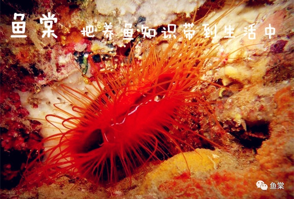 听说关于蛋分，你还在被忽悠？