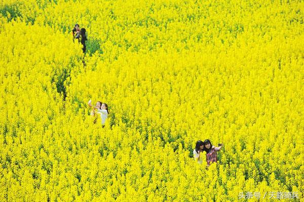 3月去318川藏线危险吗,318川藏线自驾3月可以去吗