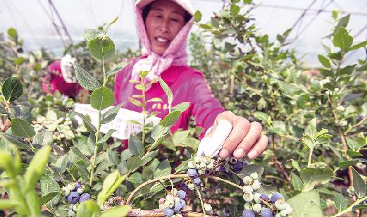 农村土地产权改革作用,农村宅基地改革释放乡村振兴活力