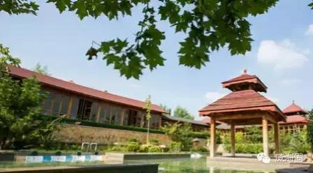 威海温泉适合带小朋友去玩的,威海汤泊温泉今年春节免费吗