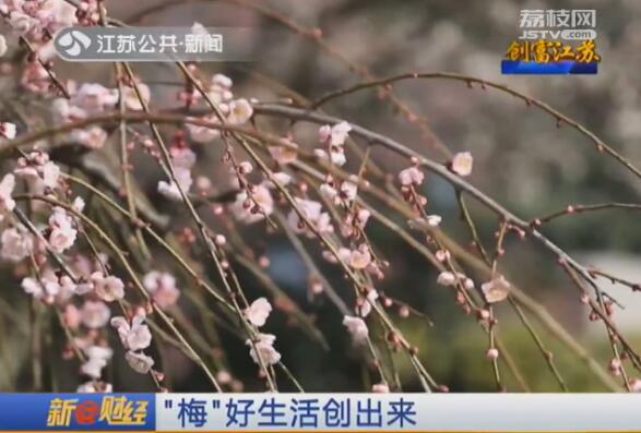 创富江苏：“梅”好生活创出来