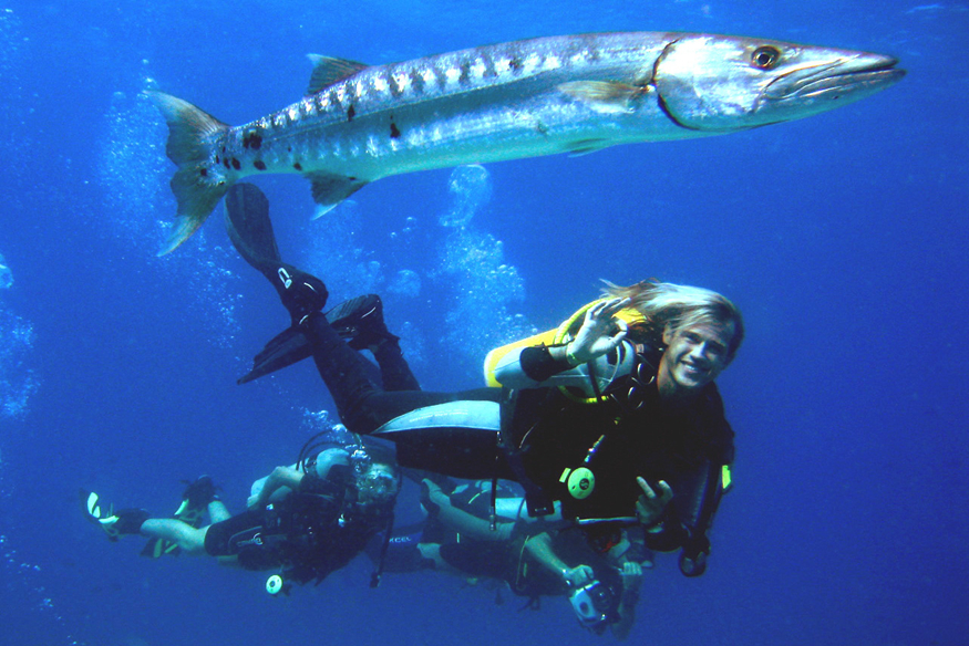 萨芙莉岛值不值得去,萨芙莉岛攻略
