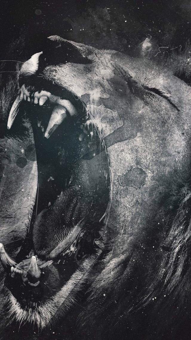 iphone高清壁纸4k全屏唯美,100张各种高清精美手机壁纸欣赏