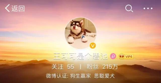 王思聪豆得儿甜蜜,豆得儿张小蒙王思聪