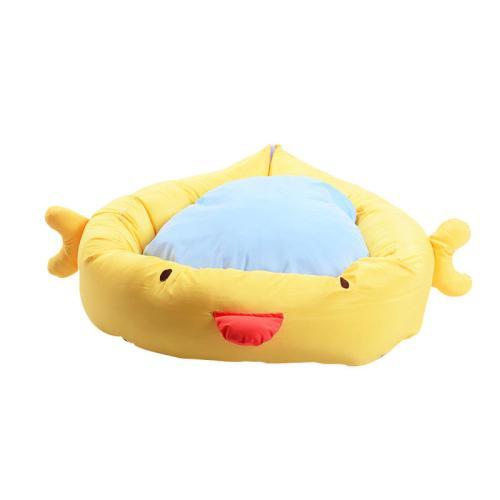 调皮又捣蛋的泰迪怎么驯服它,调皮的泰迪怎么制服它