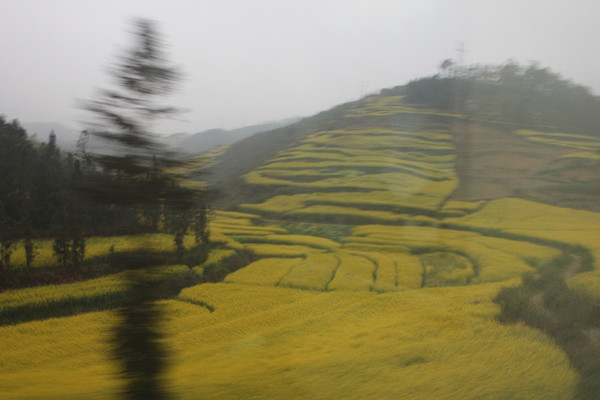 怎么才能来一场说走就走的旅行,国内穷游指南说走就走