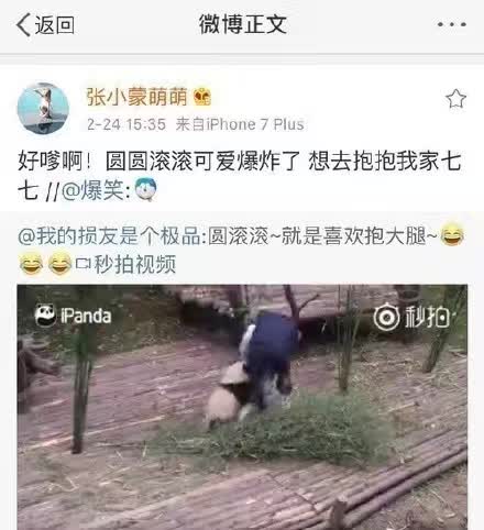 王思聪和张小蒙现状,王思聪新女友张小蒙