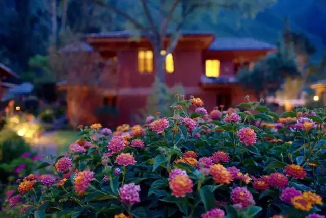 这才是旅行的样子，从亚洲至南美洲，他比我们多了点勇气和决心