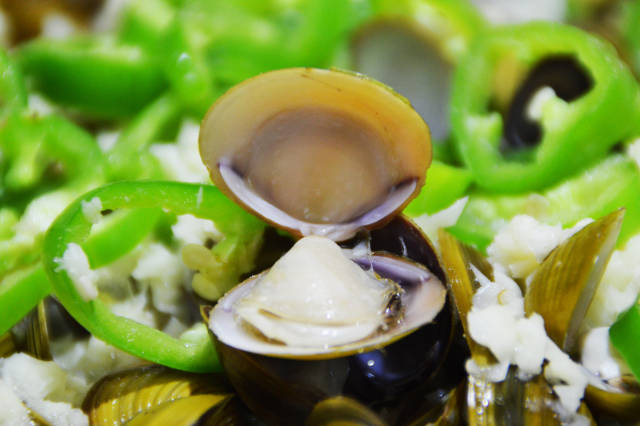 横琴黄沙蚬,珠海斗门上横黄沙蚬