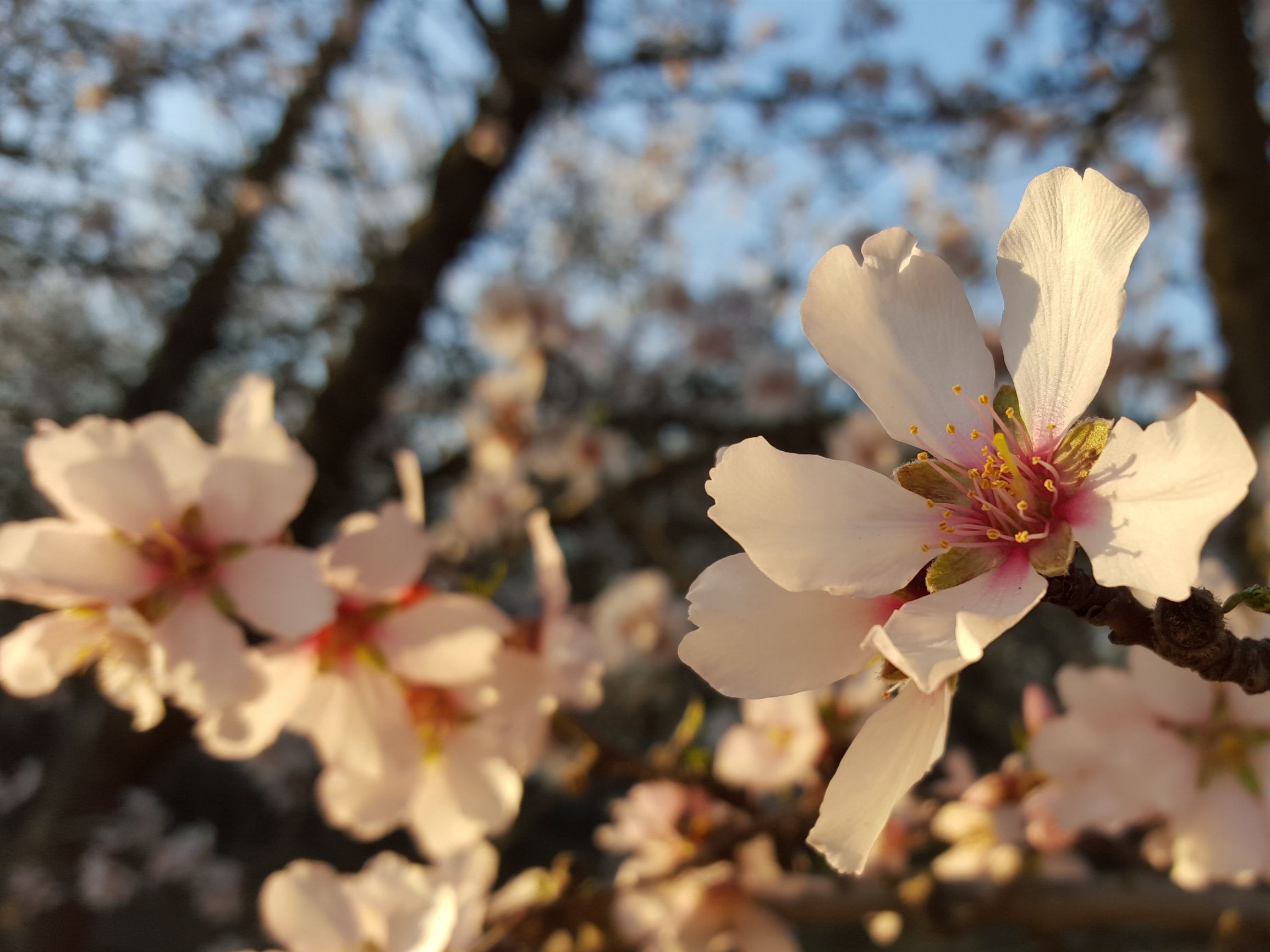 今日话题——三月来了，你最想做点什么？