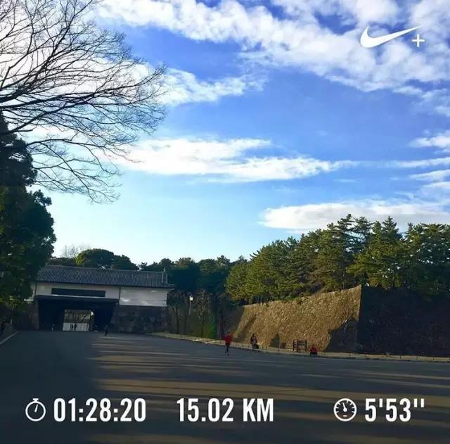 不去看樱花去看海,不去看樱花看西府海棠