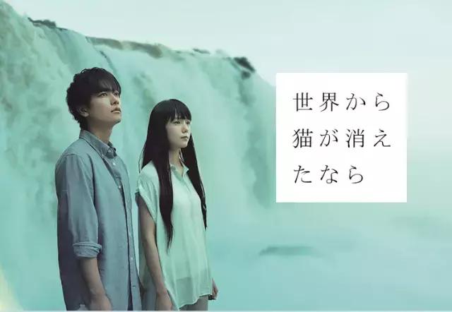 好看不贵的双肩包大容量,好看实惠双肩包