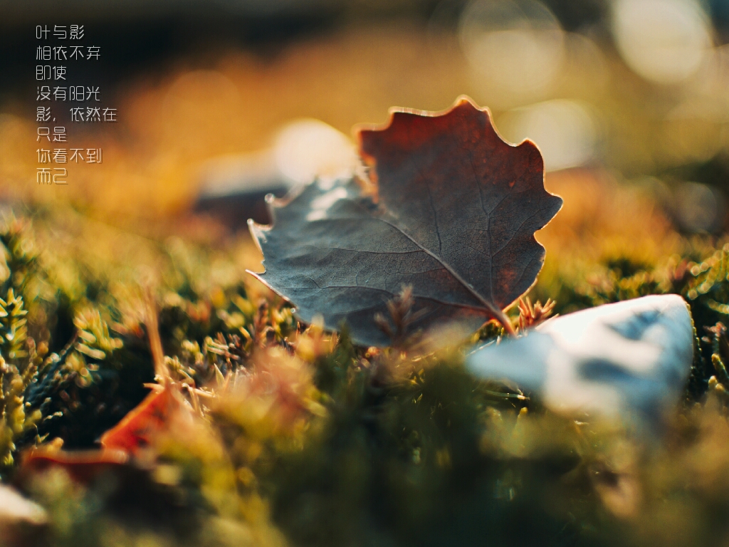 黄油相机来点灵感功能,黄油相机效果