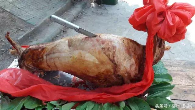 鏌冲窞鍗佷釜鍊煎緱鍘荤殑鍦版柟,娌绘剤鎶戦儊鐥囩殑鏃呮父鑳滃湴